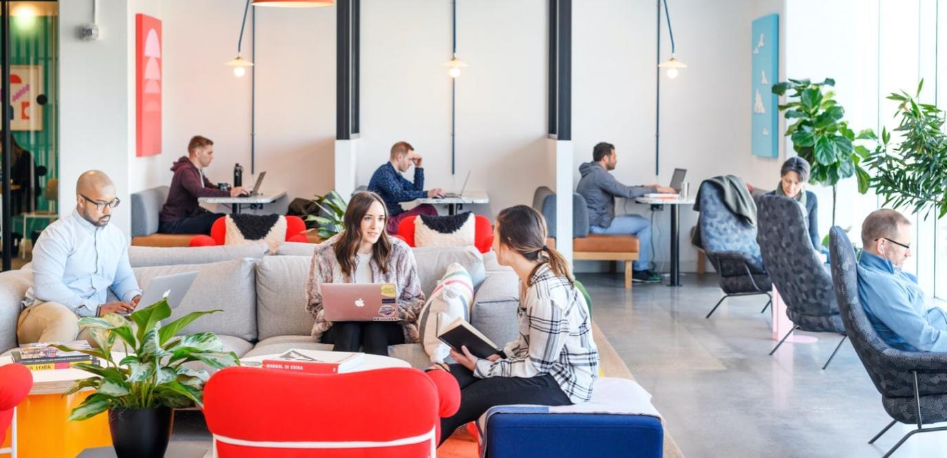 Kollaborative Lernumgebung mit interaktiven Tools und gemeinsamer Problemlösung